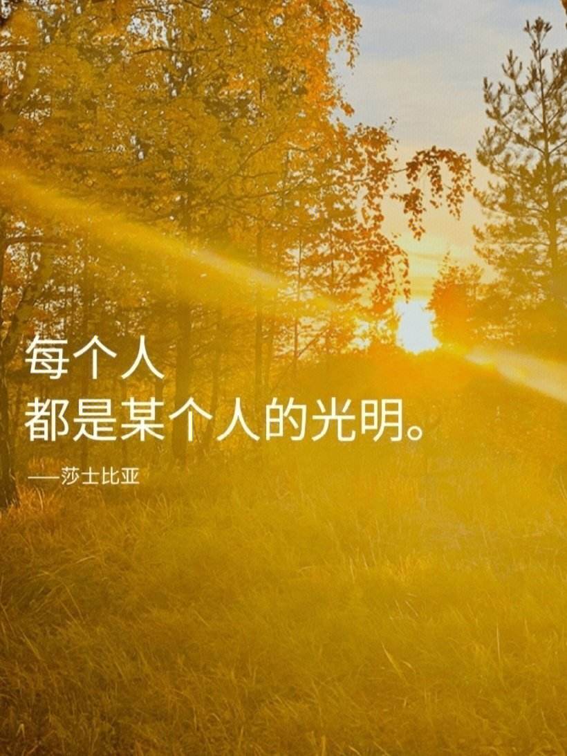 缘妙不可言的意思,数据整合方案实施_投资版121,127.13
