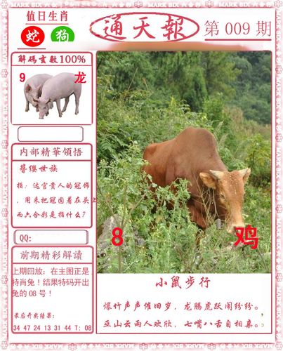 红姐统一图库图,准确答案解释落实_3DM4121,127.13