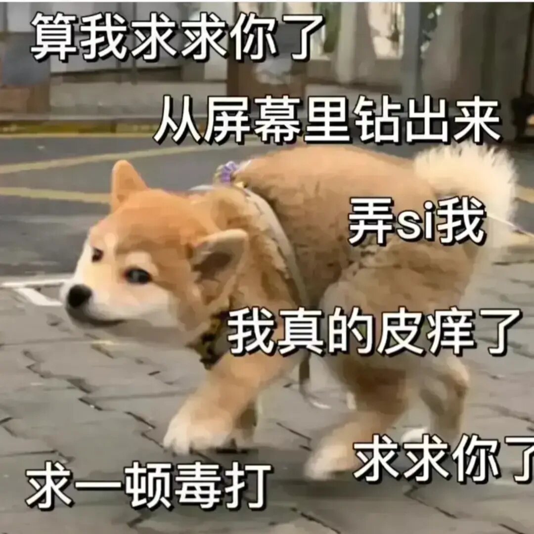 求求你表扬我,数据整合方案实施_投资版121,127.13