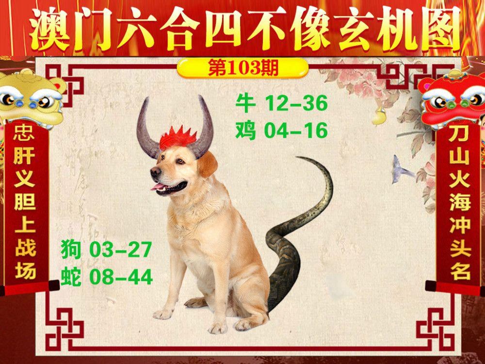 澳门一肖资料,数据整合方案实施_投资版121,127.13