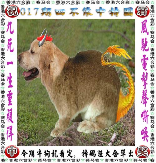 2023年澳门王中王精准网站,数据解释落实_整合版121,127.13