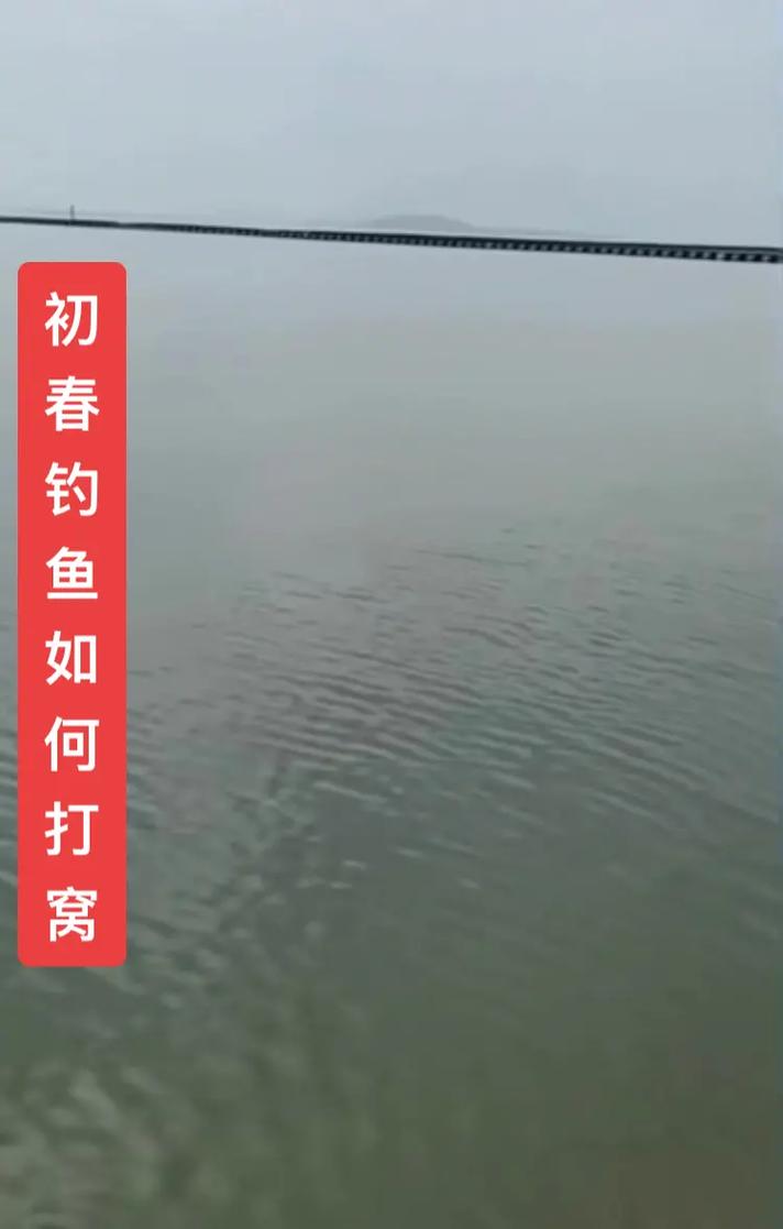 澳门香港 第65页