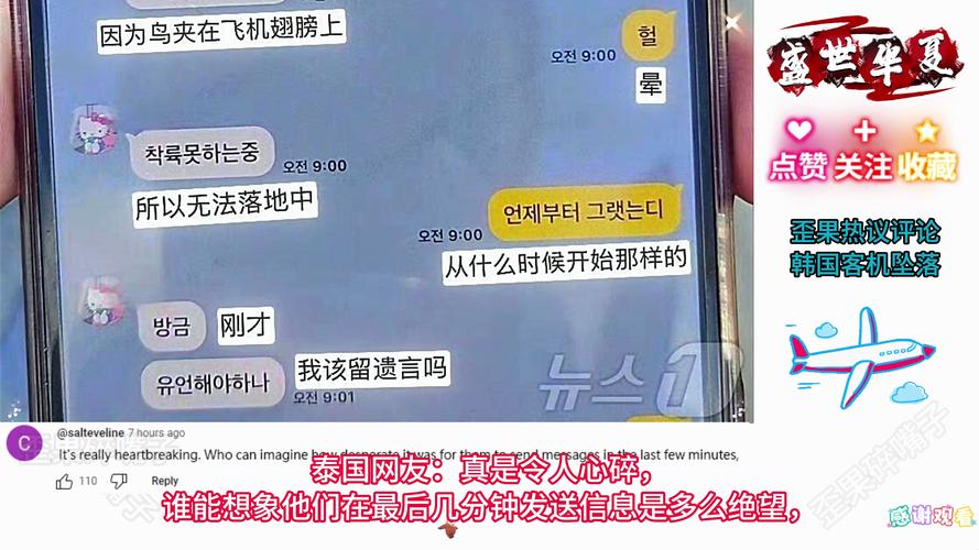 （韩国发生飞机坠毁事件）