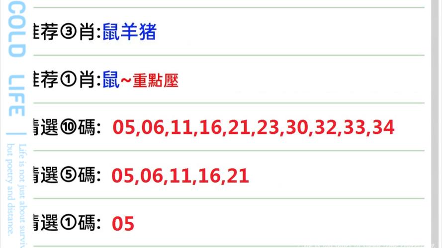今晚澳门9点35分开什么生肖和宇树科技回应更名与宇树科技回应更名了吗