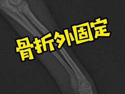 admin 第551页