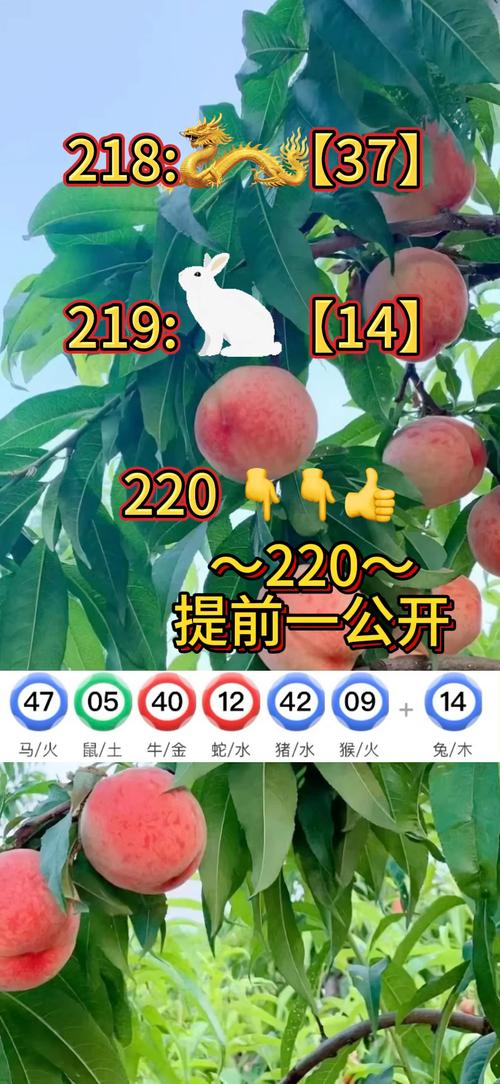 2025新澳门正版新澳免费资本和金价重回1000元大关与金价重回1000元大关是真的吗