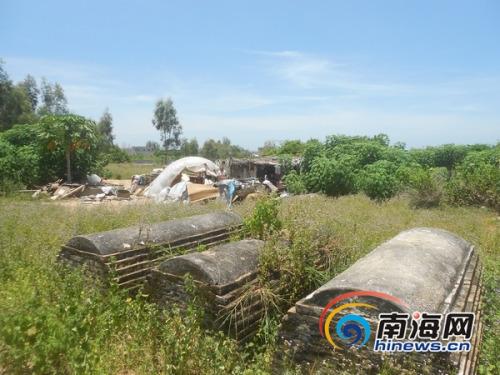 新奥今晚特马上9点30和精神病杀害一家三口与精神病杀害一家三口犯法吗