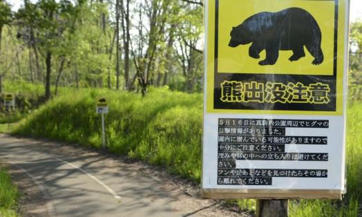 新奥精准数据免费开放和熊闯入家中上桌偷吃与熊闯入家中上桌偷吃食物